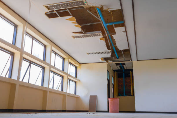 Best Mold removal after water damage  in Port Arthur, TX
