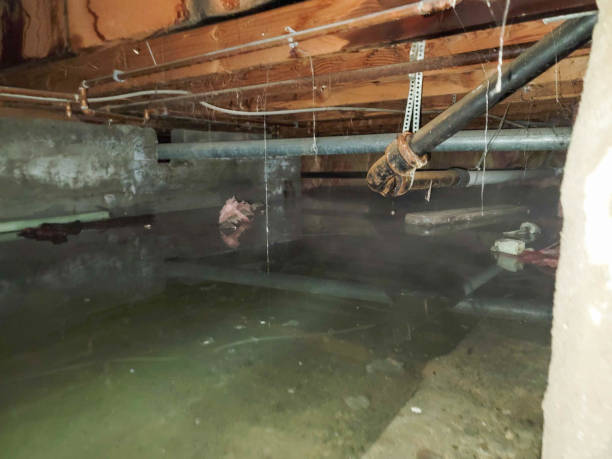 Best Sewage cleanup and water damage restoration  in Port Arthur, TX