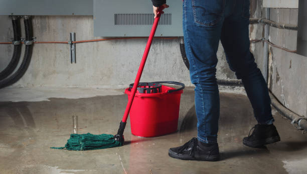 Best Flooded house restoration  in Port Arthur, TX