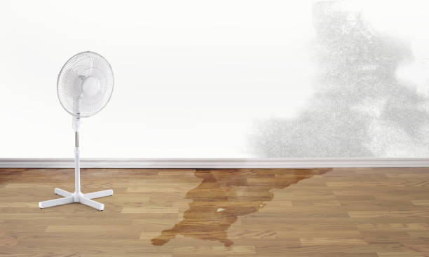 Best Residential water damage restoration  in Port Arthur, TX