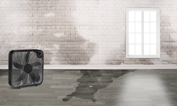  Port Arthur, TX Water damage restoration Pros