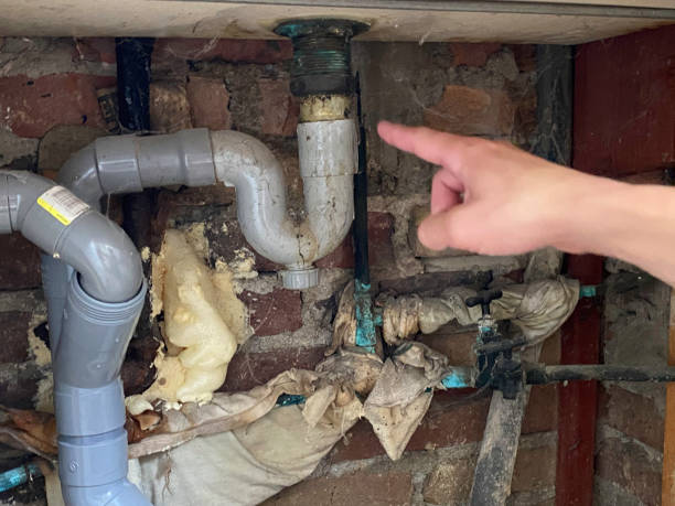 Best Basement water damage restoration  in Port Arthur, TX