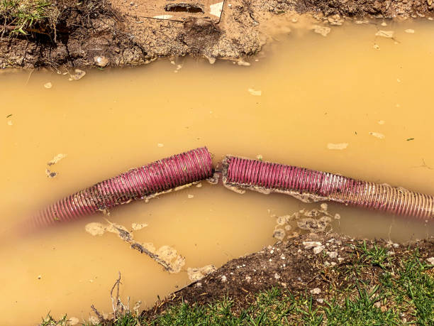 Best Flood damage cleanup  in Port Arthur, TX
